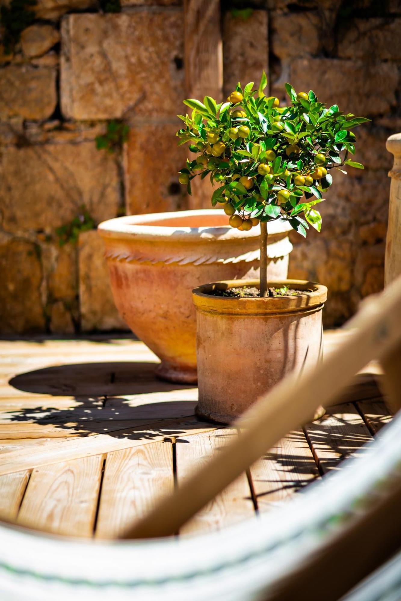 Maison Des Chanoines Sarlat-la-Canéda Buitenkant foto